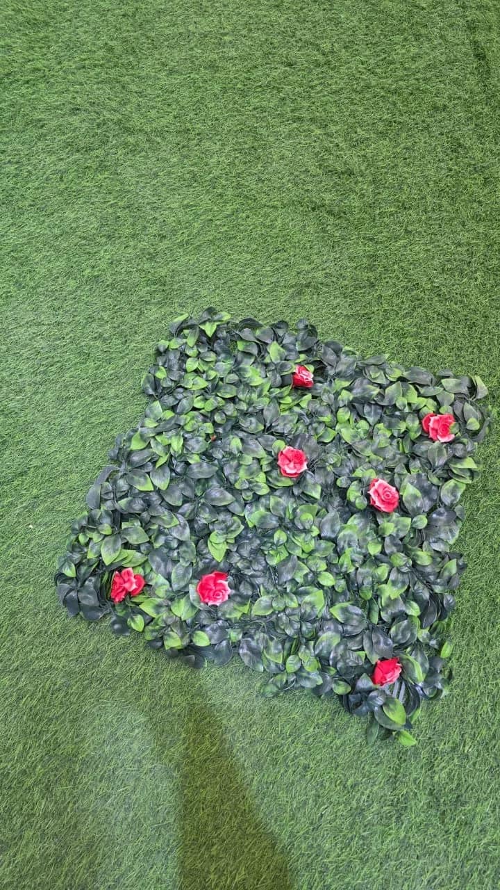 العشب الجداري